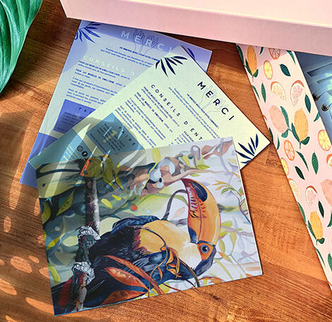 Thank-you cards illustrated by Julie Vigneron for Minuit sur Terre, Toucan design, with trainer box