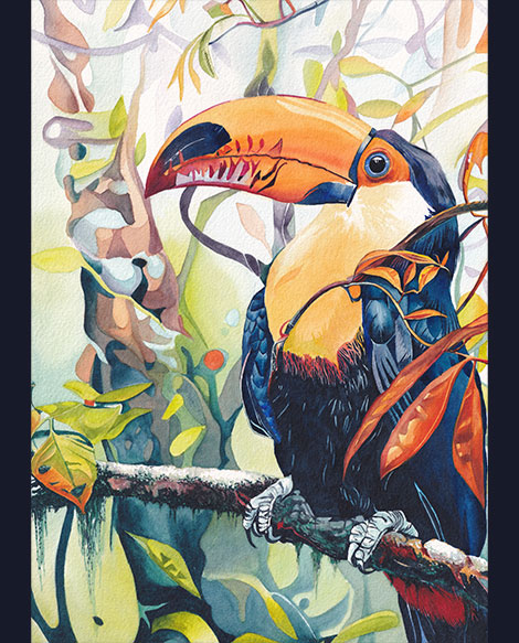 Watercolour of a brightly coloured toucan in a tropical forest setting