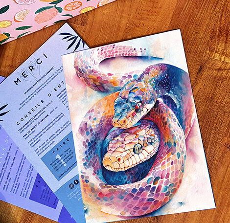 Carte de remerciement illustrée de deux serpents bleu, rose et orange par Julie Vigneron pour Minuit sur Terre, présentée avec une paire de baskets dans leur boîte et le verso imprimé avec remerciements et conseils d’entretien