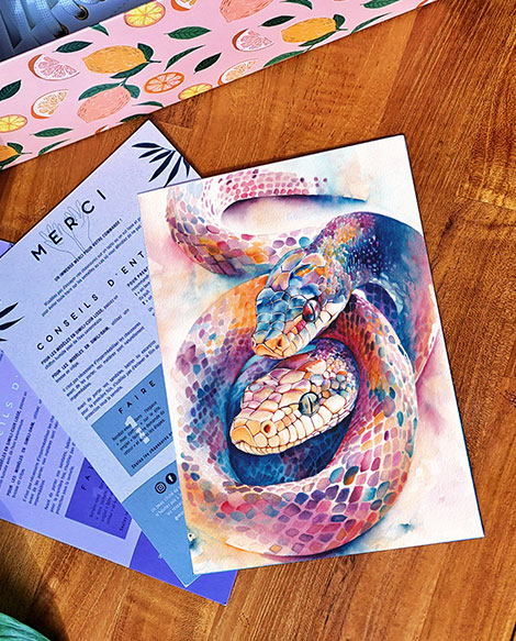 Carte de remerciement illustrée de deux serpents bleu, rose et orange par Julie Vigneron pour Minuit sur Terre, présentée avec une paire de baskets dans leur boîte et le verso imprimé avec remerciements et conseils d’entretien