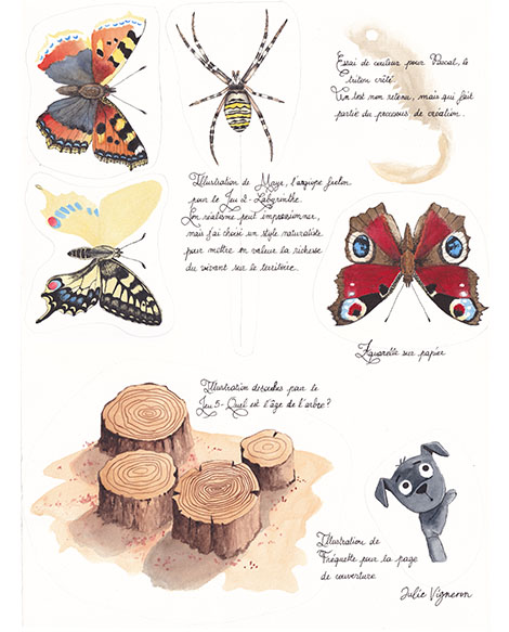 Planche d’aquarelles représentant souches, chien, papillons et araignée, annotée à la main pour la médiation du public
