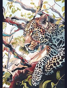 Portrait animalier léopard