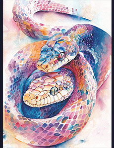 Portrait animalier serpents