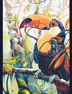 Portrait animalier toucan