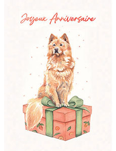 Portrait chien couleur anniversaire