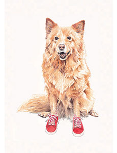 Portrait chien couleur baskets