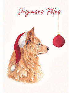 Portrait chien couleur joyeuses fêtes