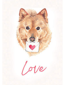 Portrait chien couleur love