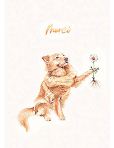 Portrait chien couleur merci