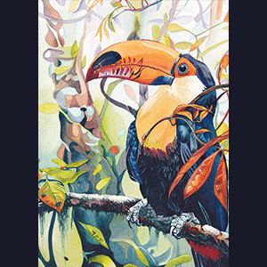 Gif présentant la collection complète des illustrations d'animaux disponible en tirage papier