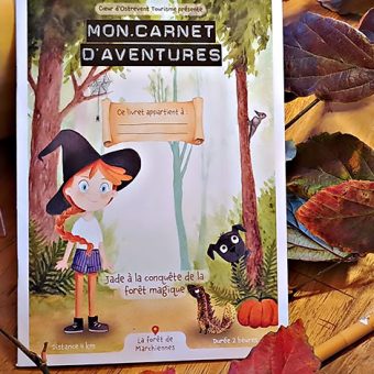 Watercolour illustration of the cover for the activity book on the Marchiennes Forest, featuring Jade, the little red-haired girl, Pascal, the golden newt, and Fréquette, the black dog.